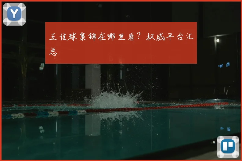 五佳球集锦在哪里看？权威平台汇总