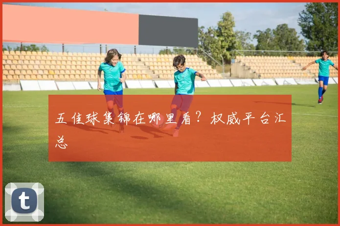 五佳球集锦在哪里看？权威平台汇总